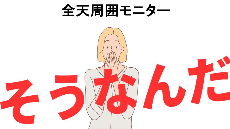 意味ないと思う人におすすめ！全天周囲モニターの代わり